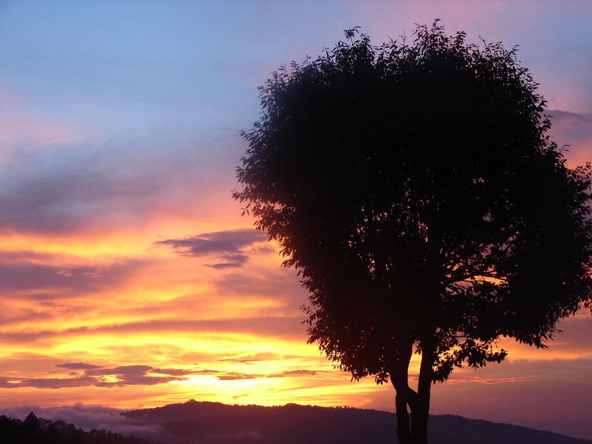 Blusalzz Escapade Anant Rasa Resort - Ranikhet Shitlakhet Kültér fotó